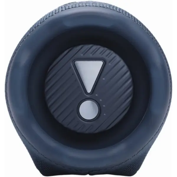 Колонка портативная JBL Charge 6, Blue