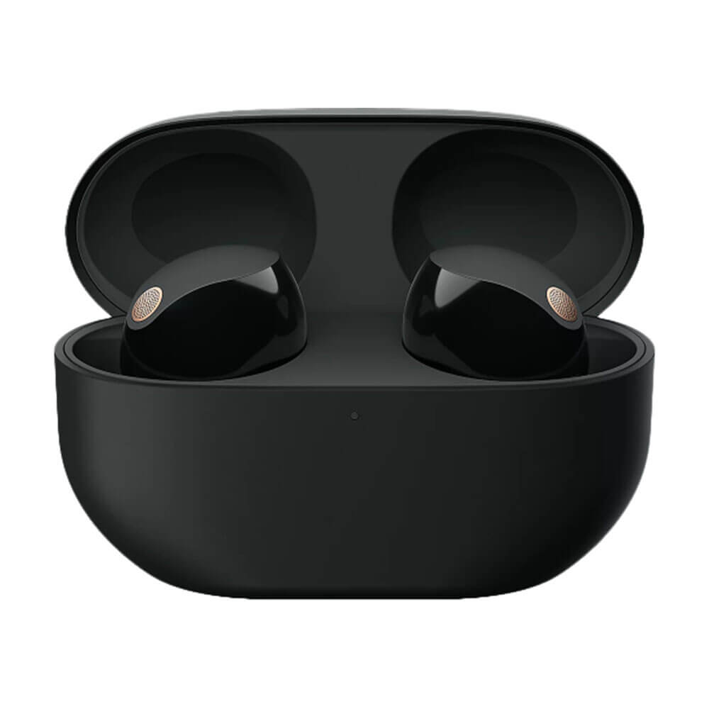 Беспроводные наушники Sony WF-1000XM5, Black