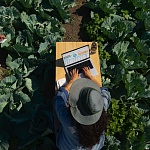 Apple MacBook Pro 14" (M4 Pro, 2024), 24 ГБ/512 Гб, Чёрный космос