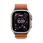 Apple Watch Ultra 3, 49 мм, корпус из титана цвета Серый (Natural Titanium), ремешок Alpine, цвет терракотовый, L