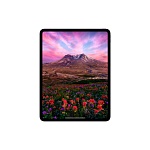 Apple iPad Pro M5 (2025) 11" дюймов, wi-fi+cellular, 2 Тб, Чёрный космос (Без RuStore)